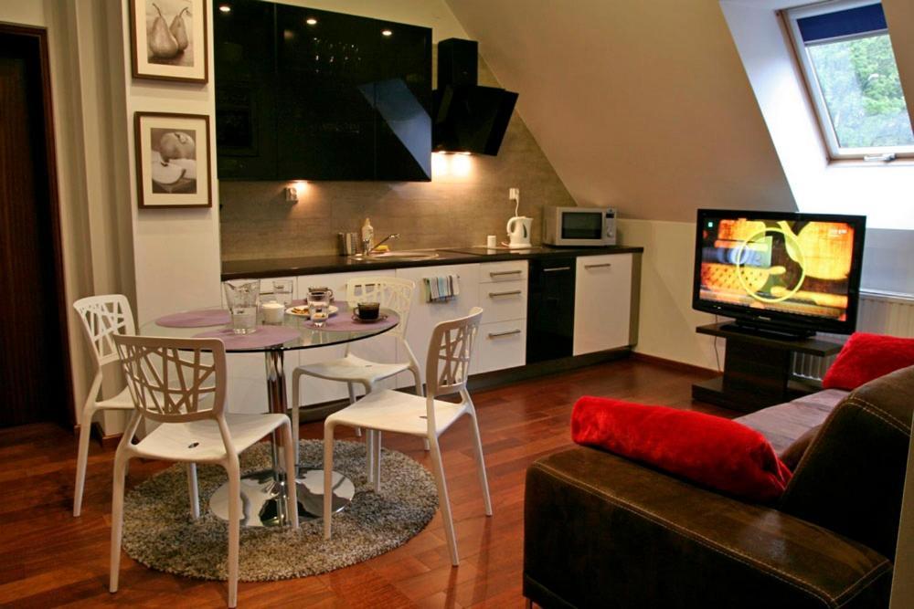 Apartserwis - Gorace Zrodla Apartament Lodowa Kopa 2 ザコパネ エクステリア 写真