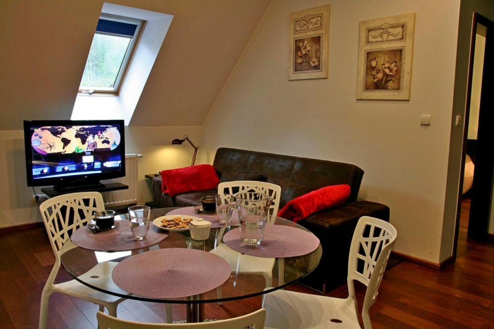 Apartserwis - Gorace Zrodla Apartament Lodowa Kopa 2 ザコパネ エクステリア 写真